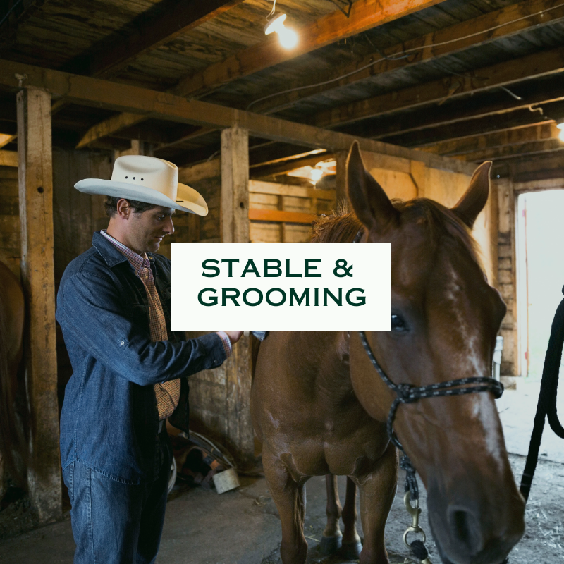 Shop Stable & Grooming